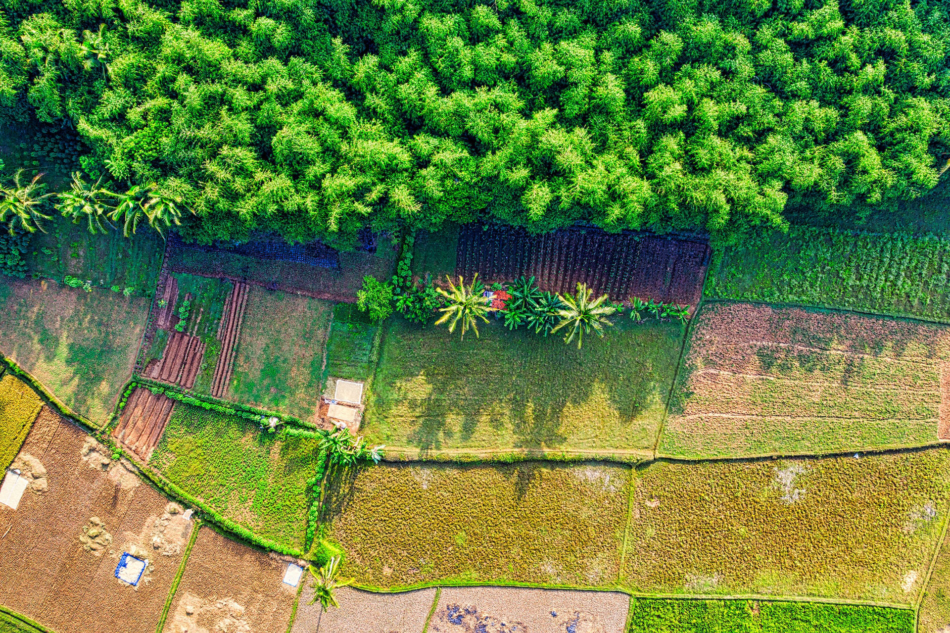 Les gazons Terrebone photo 3